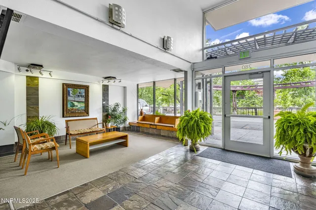 a living room filled with furniture and a potted plant