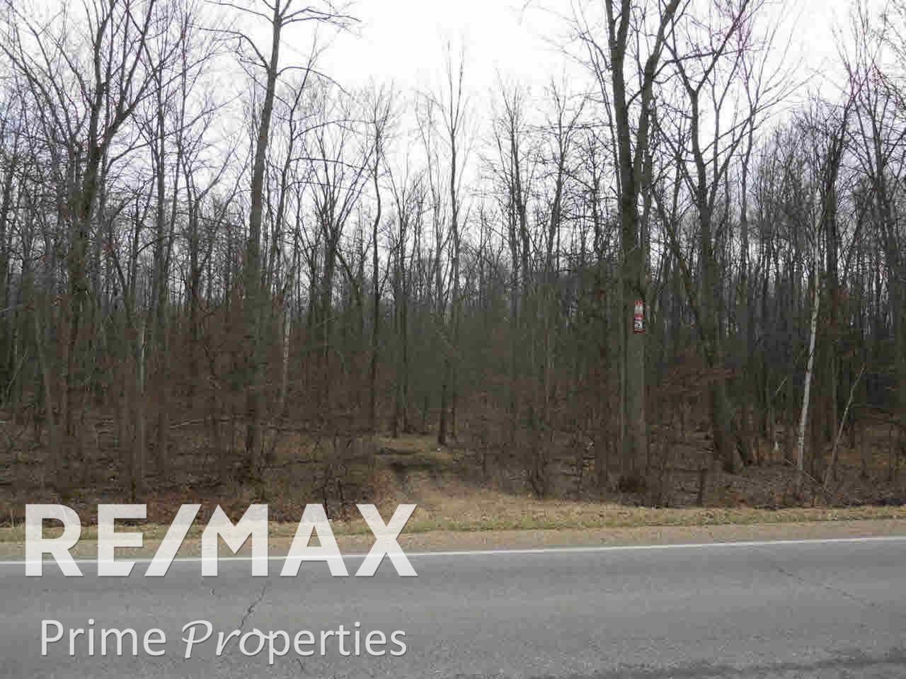 0 Ormes Road Millington, MI 48746 - Photo 1 of 7