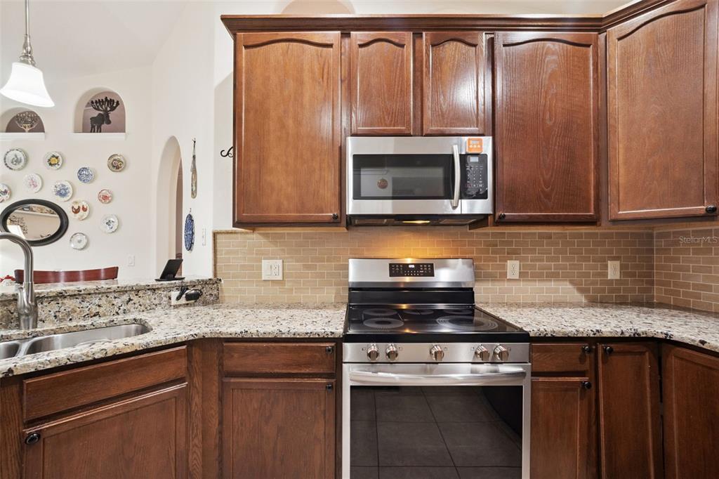 2243 Wolf Ridge Lane Mount Dora, FL 32757 - Photo 26 of 57