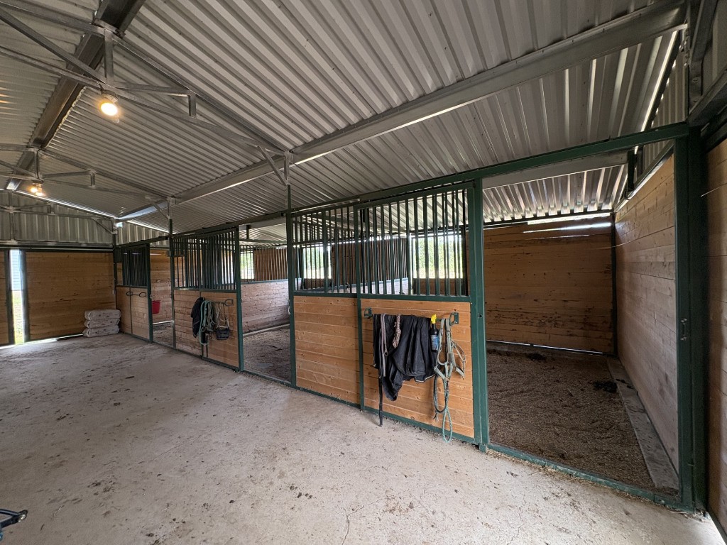 1430 Antioch Road Paige, TX 78659 - Photo 10 of 40 a view of an empty room with wooden walls