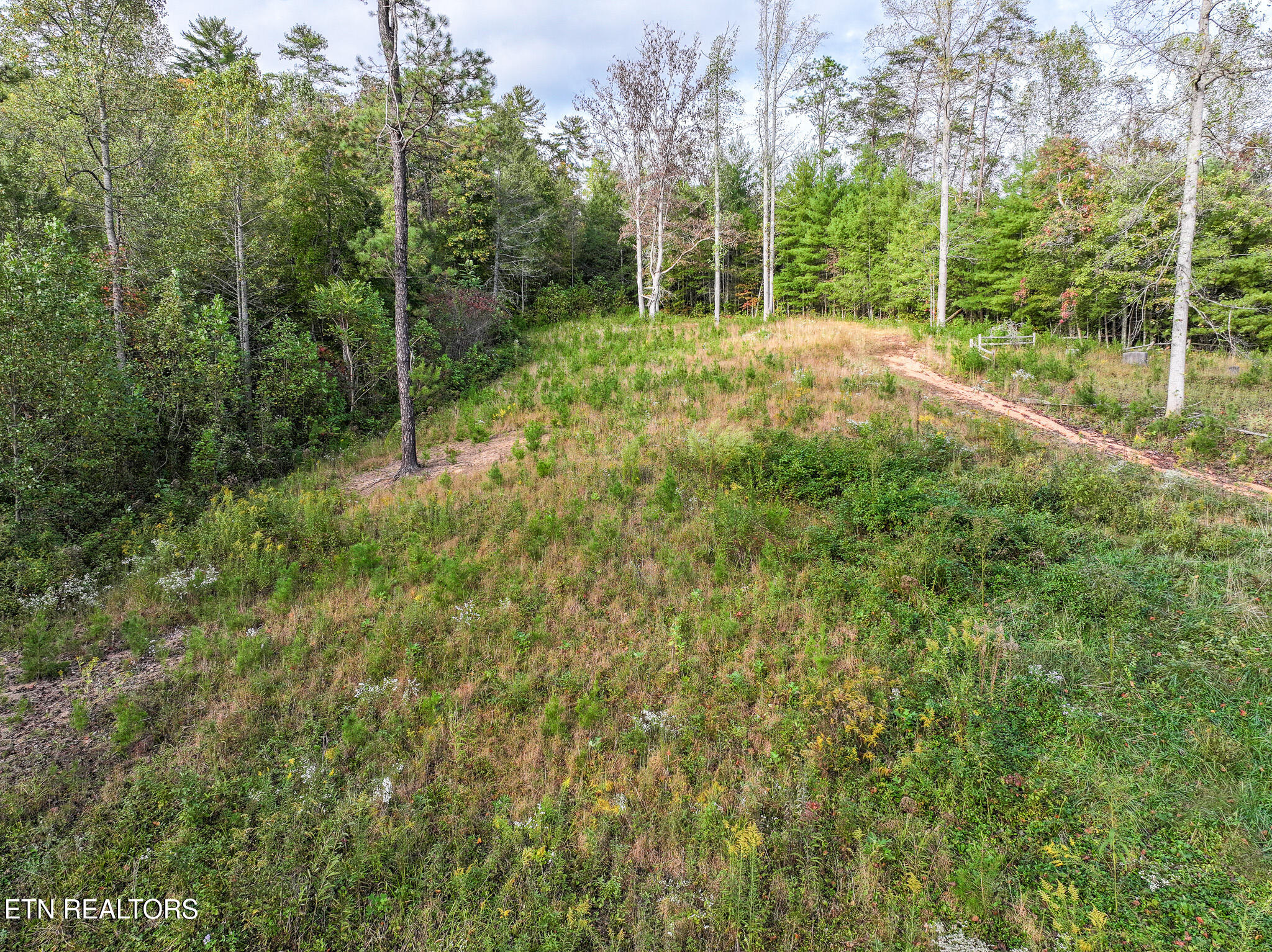 Long Branch Road Del Rio, TN 37727 - Photo 12 of 27 DJI_20251004200347_0405_D