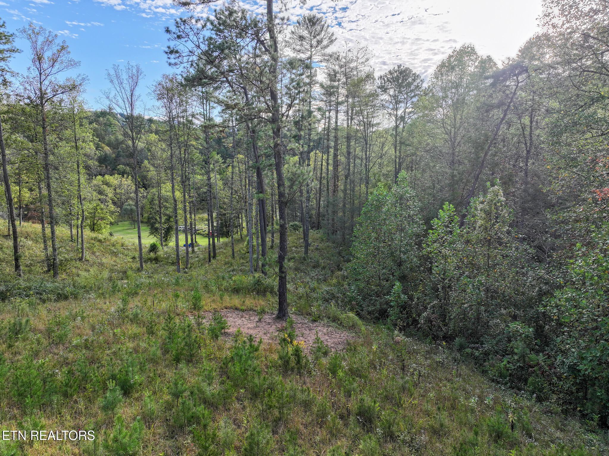 Long Branch Road Del Rio, TN 37727 - Photo 13 of 27 DJI_20251004200411_0408_D