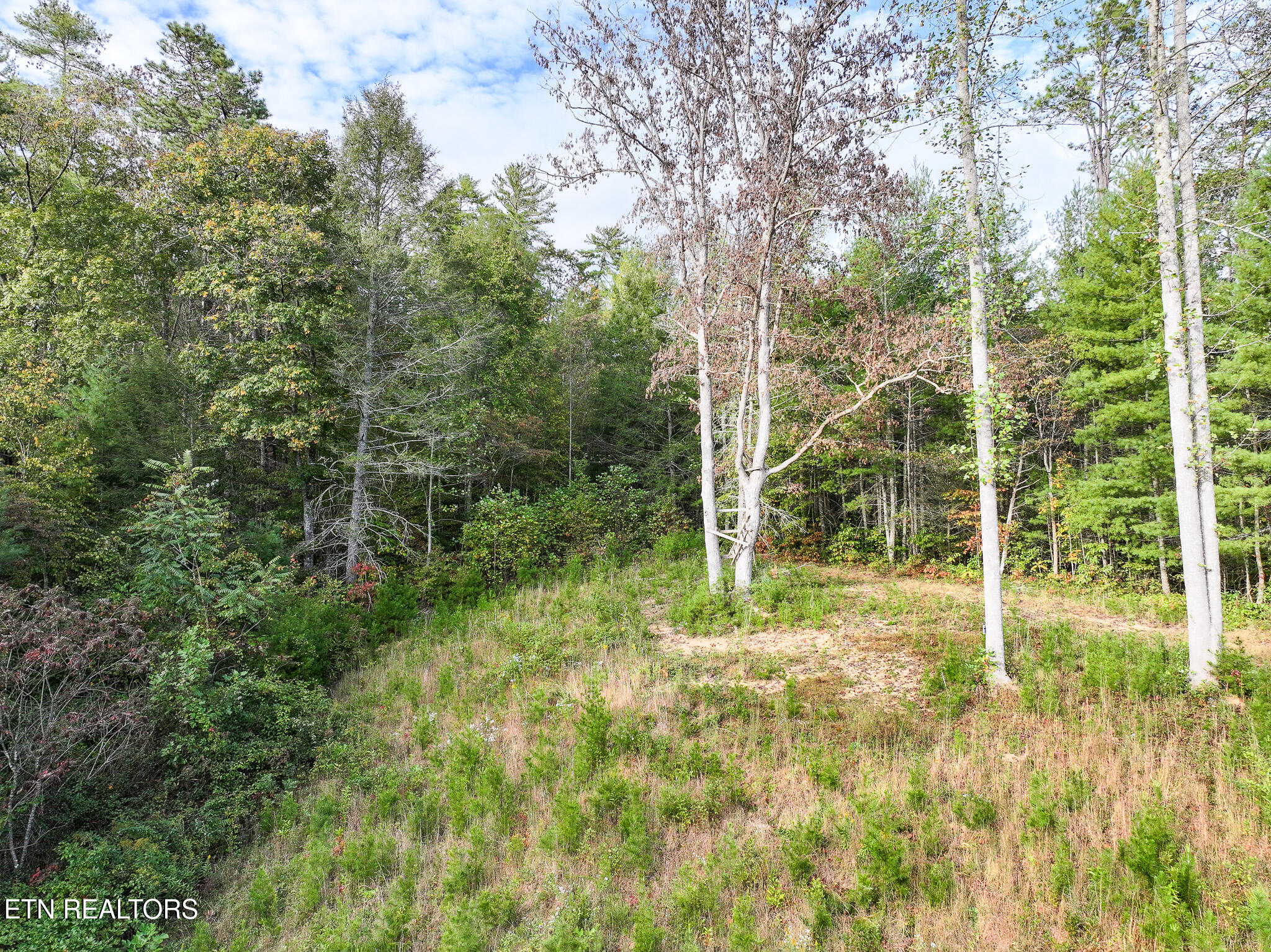 Long Branch Road Del Rio, TN 37727 - Photo 14 of 27 DJI_20251004200400_0406_D