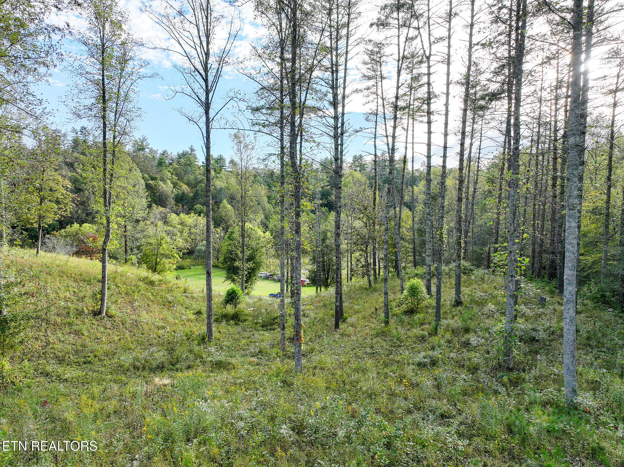 Long Branch Road Del Rio, TN 37727 - Photo 15 of 27 DJI_20251004200427_0410_D