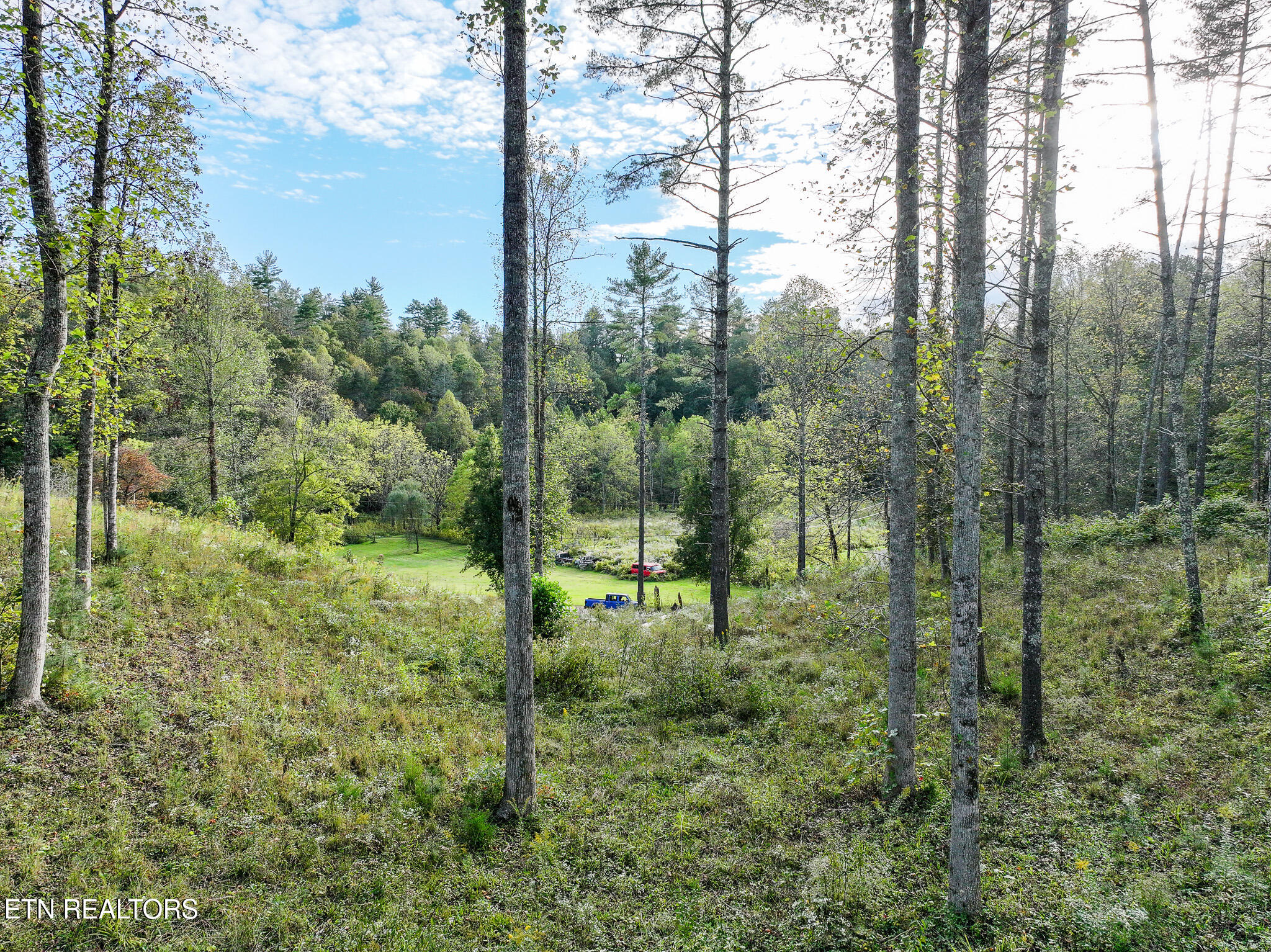 Long Branch Road Del Rio, TN 37727 - Photo 16 of 27 DJI_20251004200435_0411_D