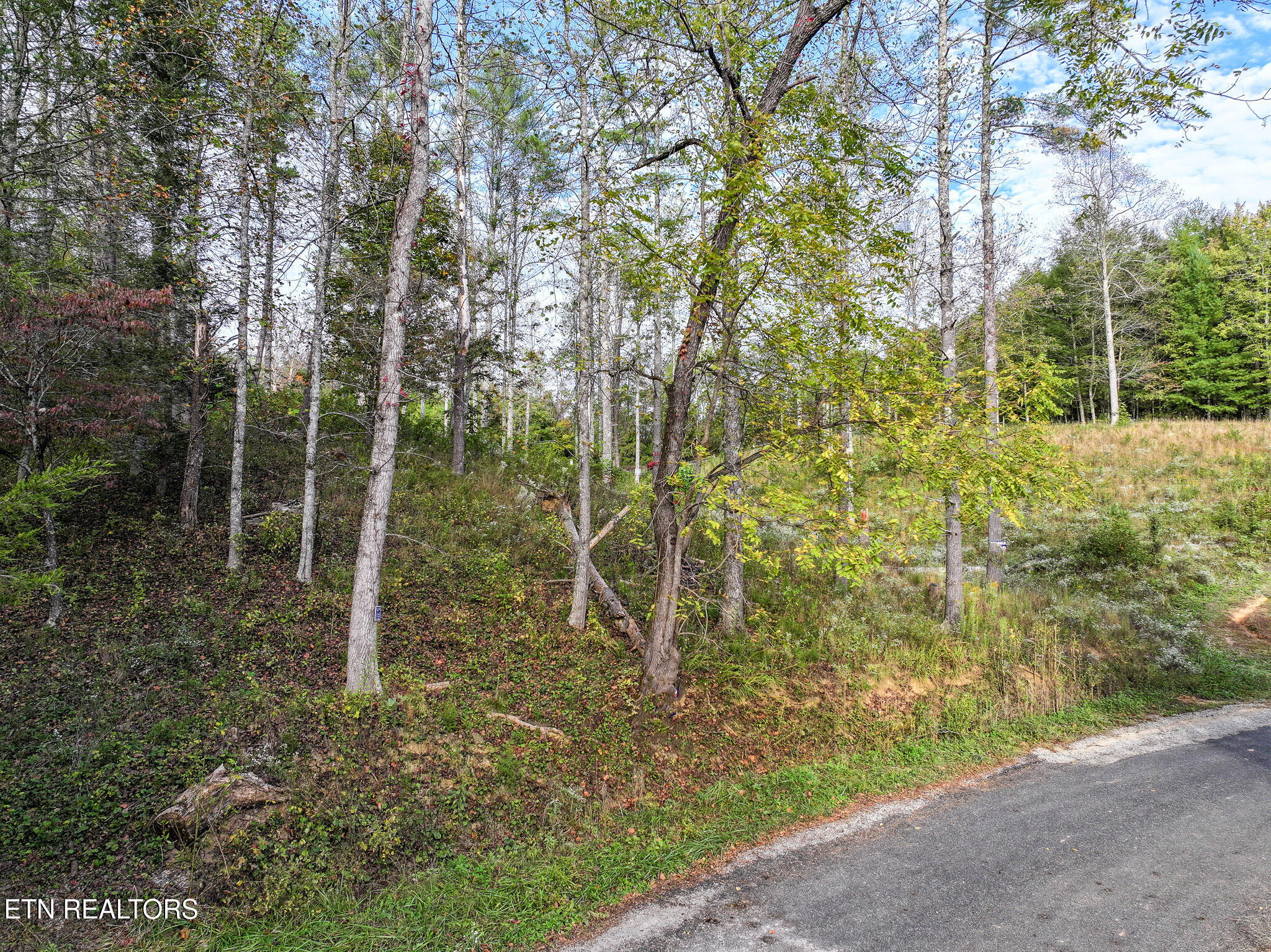 Long Branch Road Del Rio, TN 37727 - Photo 4 of 27 DJI_20251004200214_0397_D-Edit