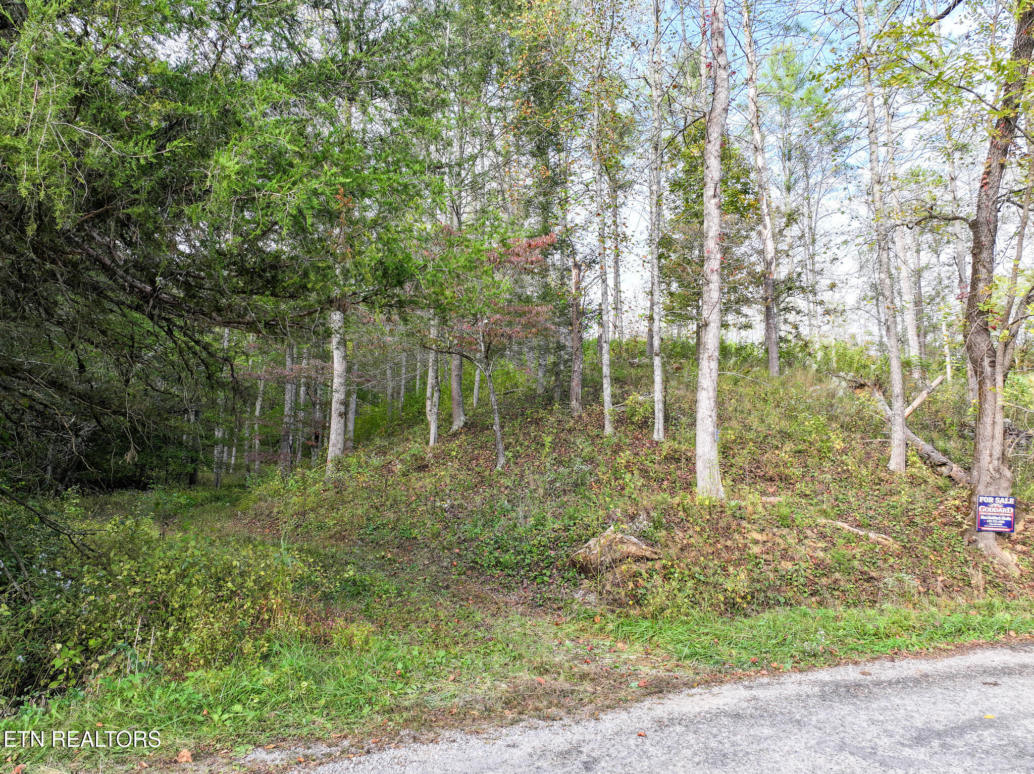 Long Branch Road Del Rio, TN 37727 - Photo 5 of 27 DJI_20251004200218_0398_D