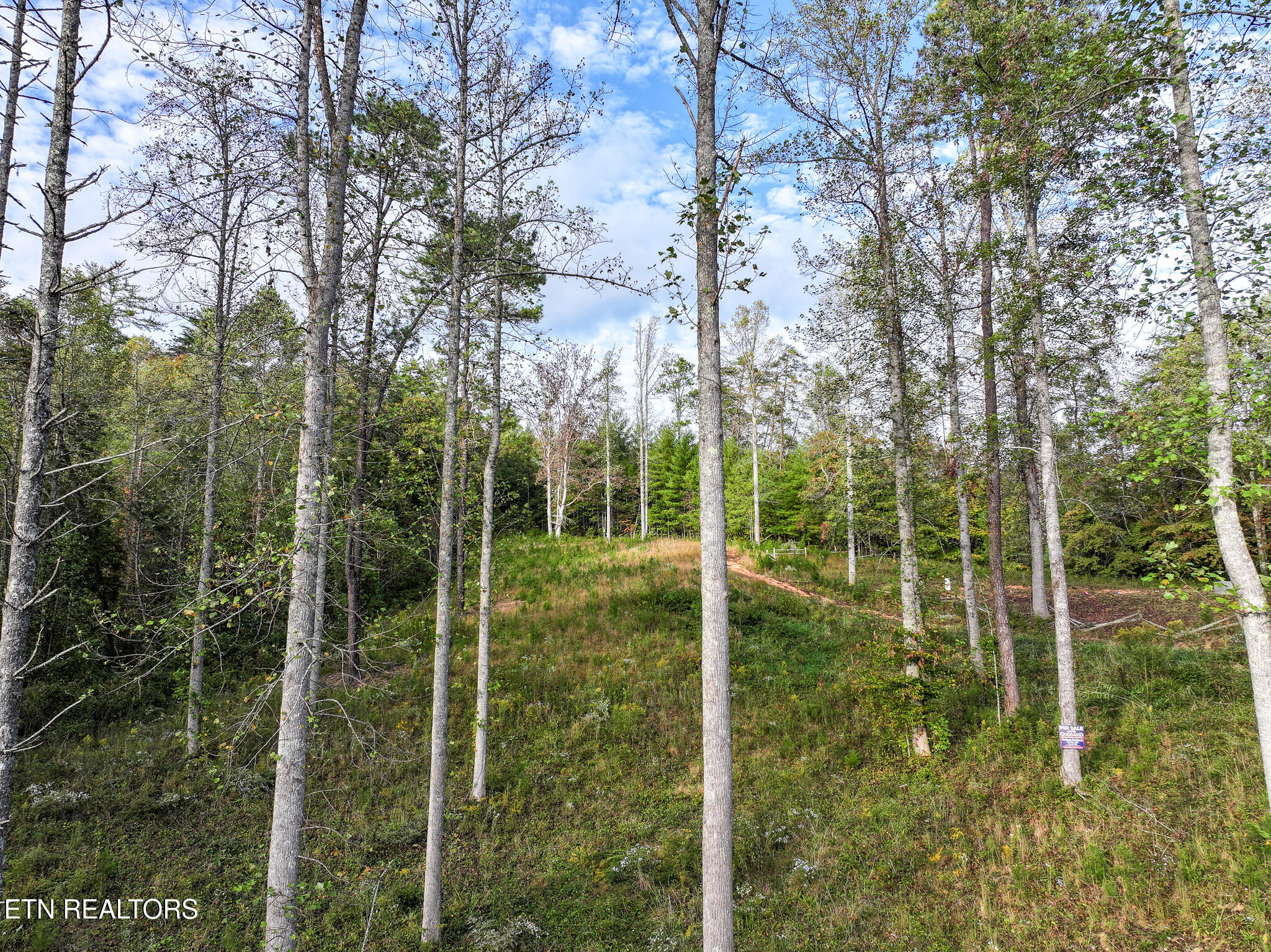 Long Branch Road Del Rio, TN 37727 - Photo 9 of 27 DJI_20251004200302_0402_D