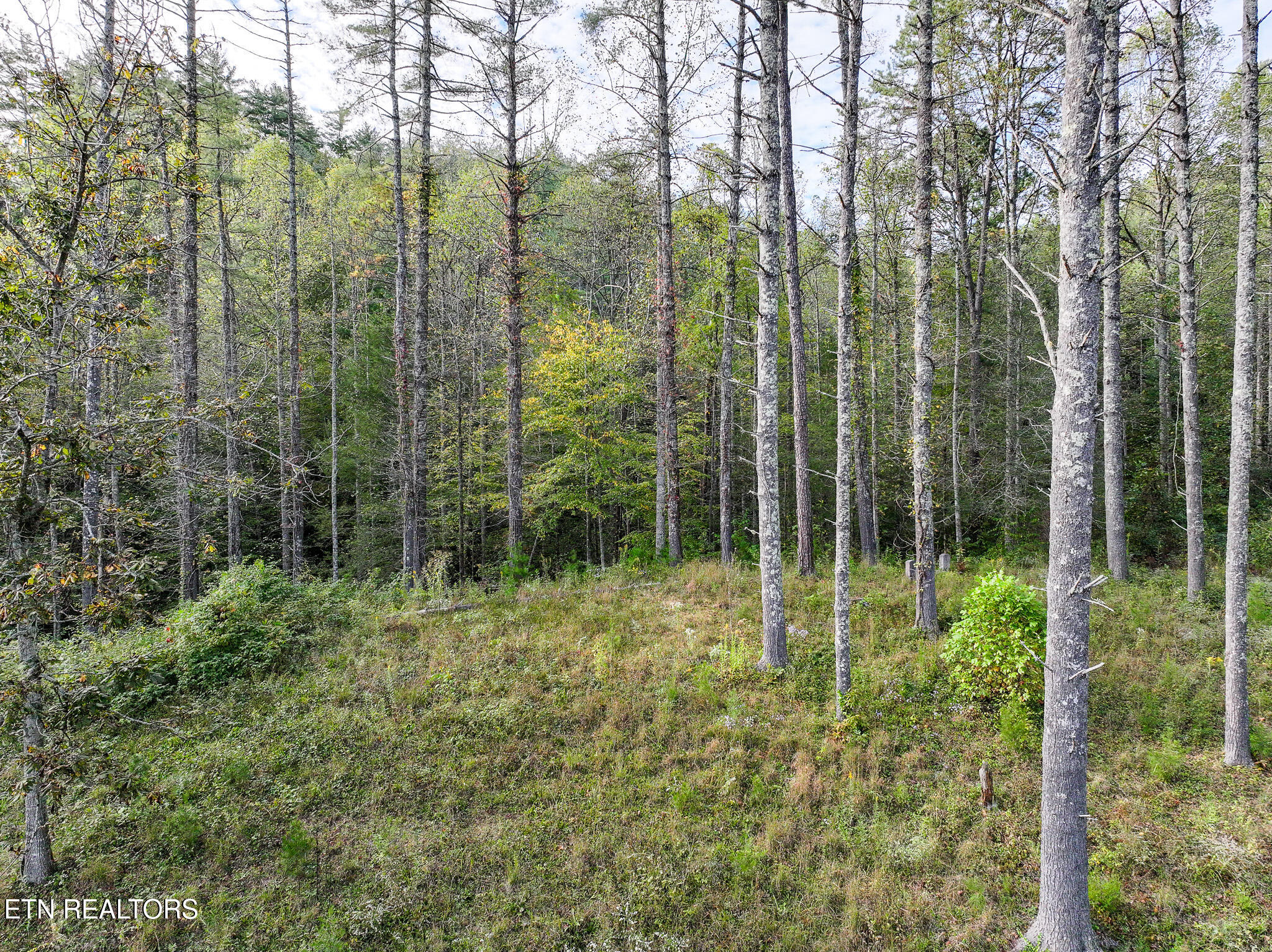 Long Branch Road Del Rio, TN 37727 - Photo 10 of 27 DJI_20251004200307_0403_D