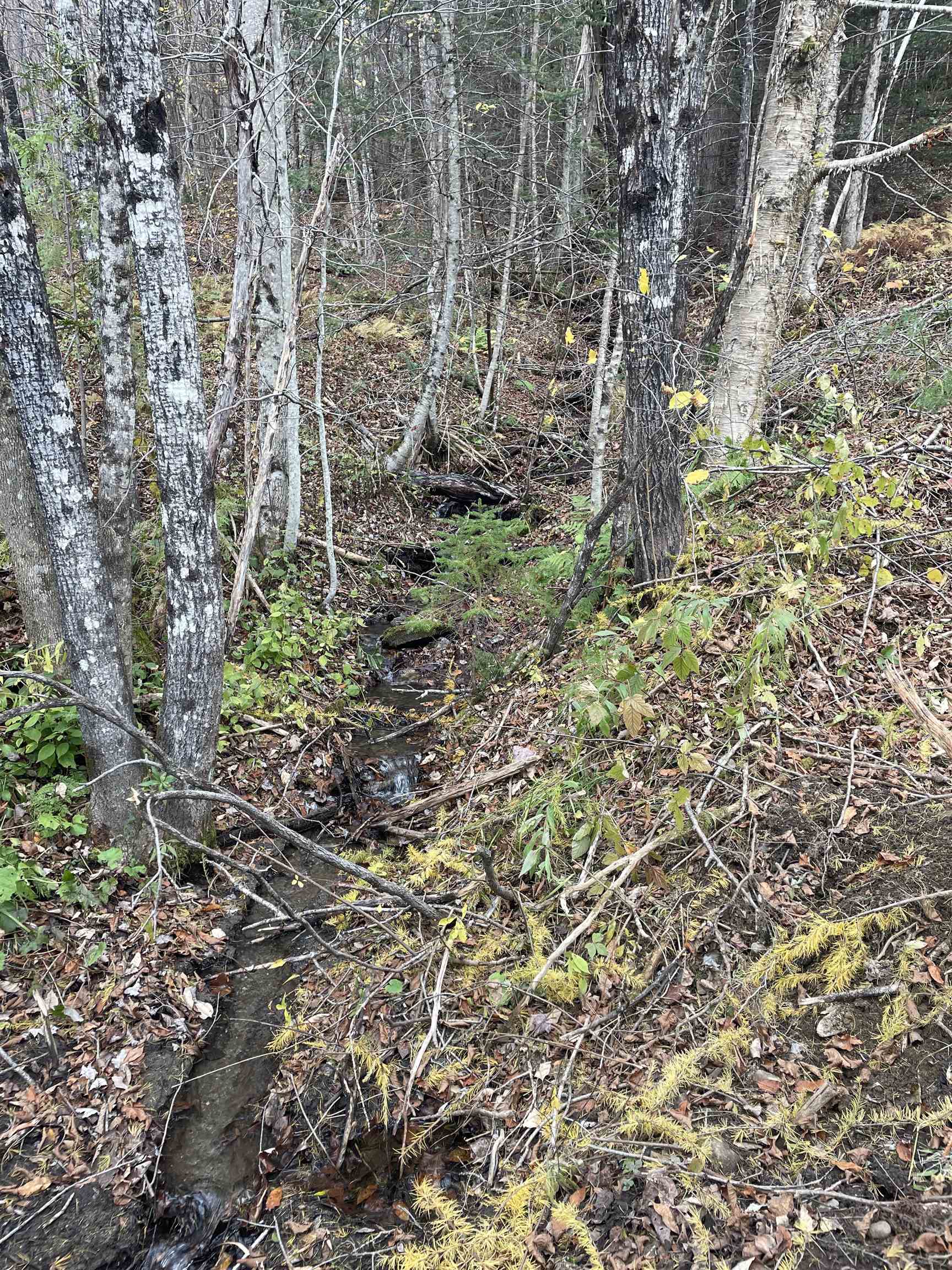 4236 Highway 5 Sutton, VT 05867 - Photo 11 of 19