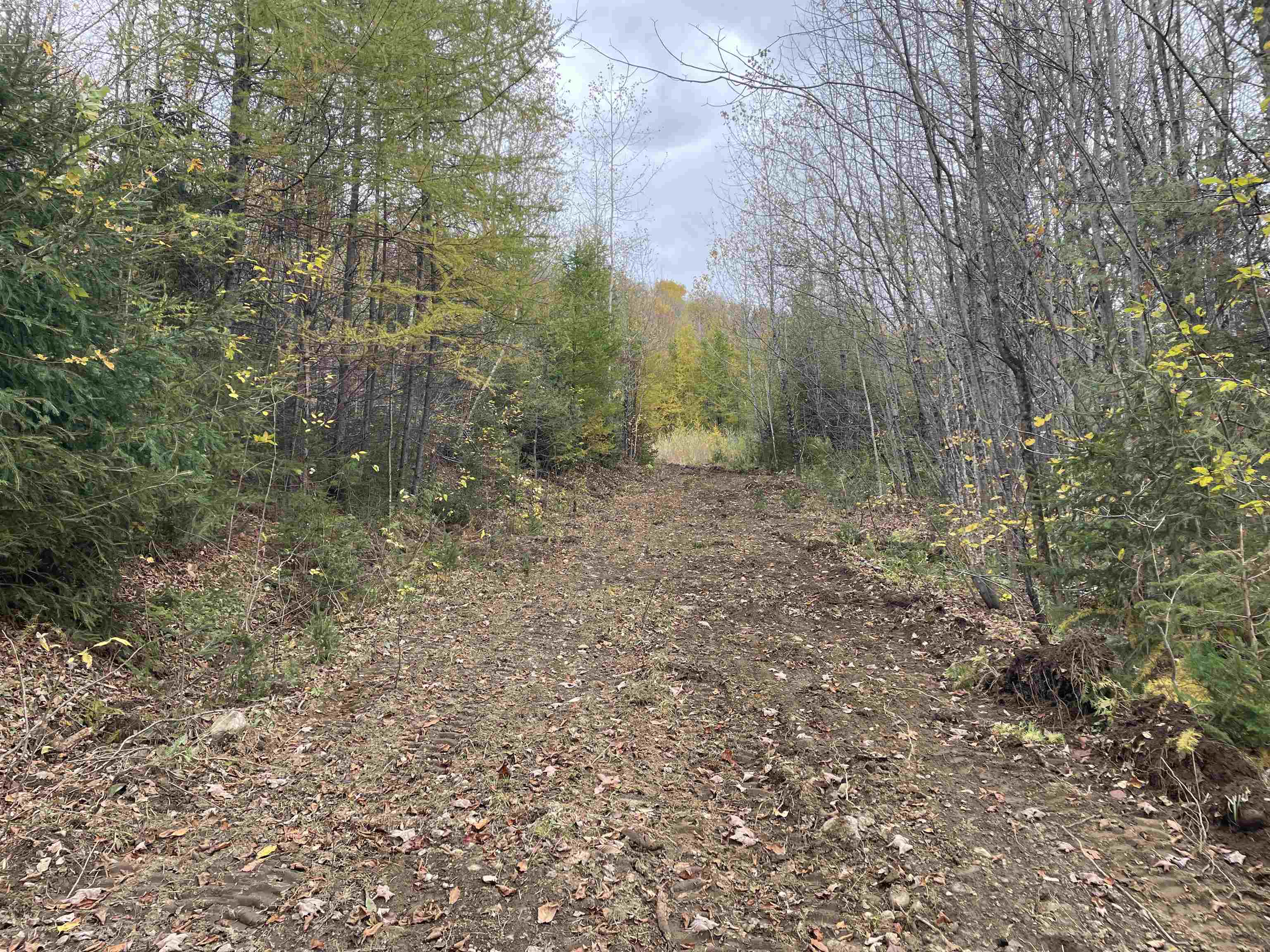 4236 Highway 5 Sutton, VT 05867 - Photo 6 of 19