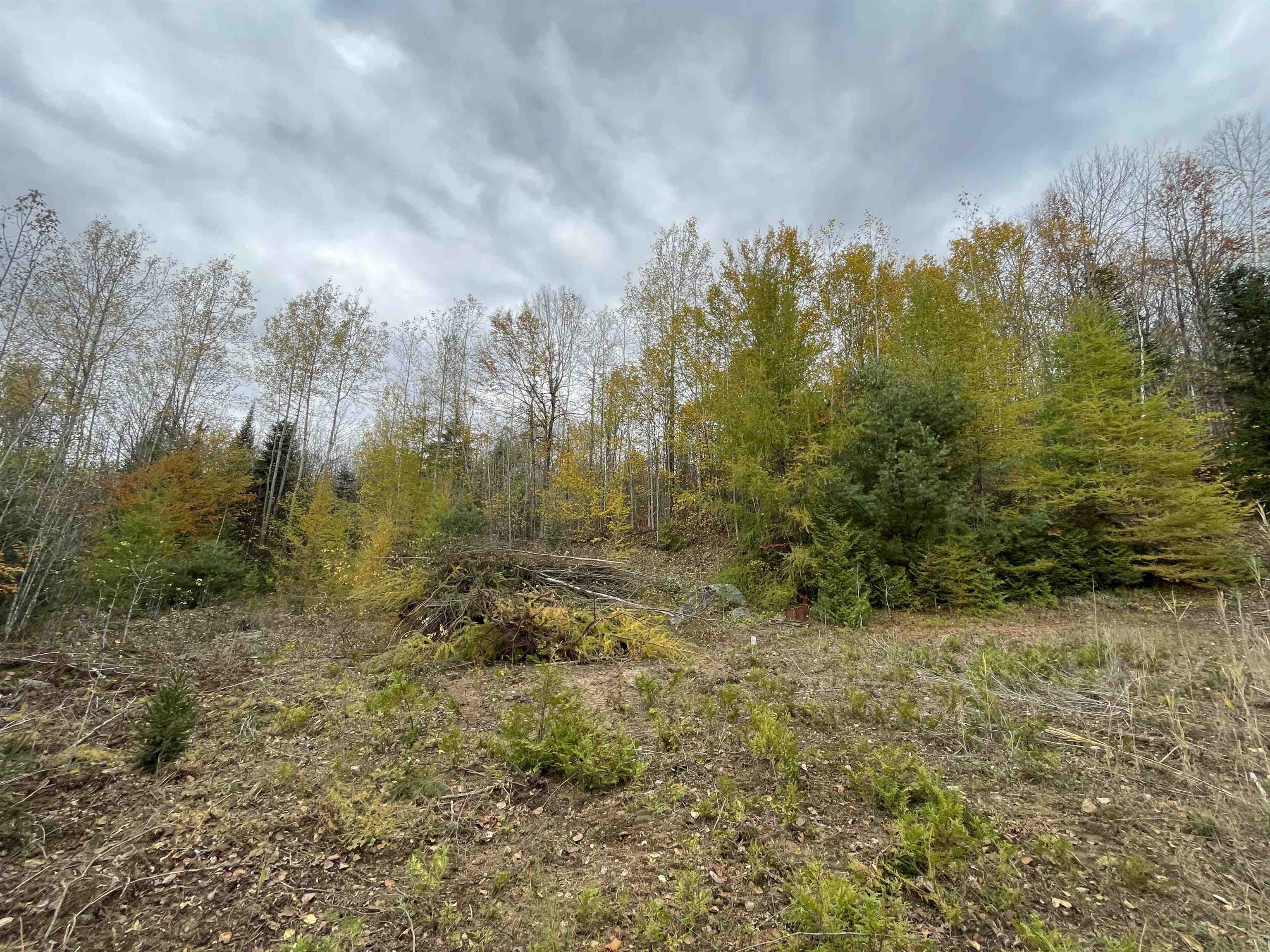 4236 Highway 5 Sutton, VT 05867 - Photo 8 of 19