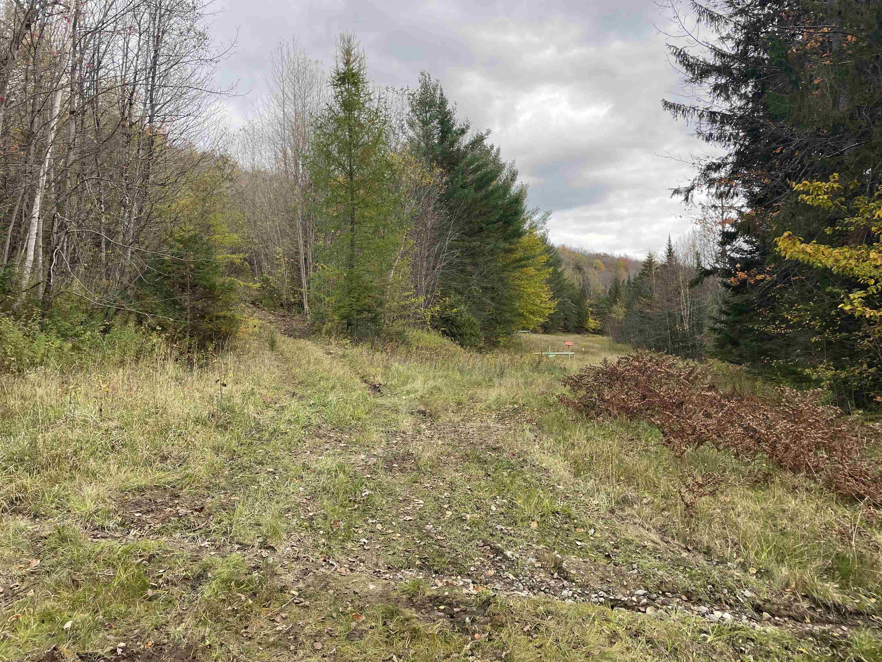 4236 Highway 5 Sutton, VT 05867 - Photo 9 of 19