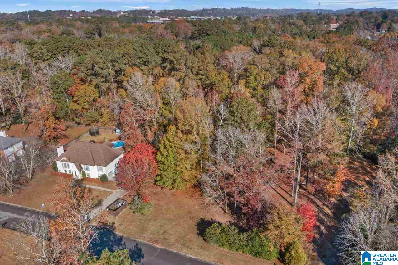 4512 Little Ridge Drive Birmingham, AL 35242 - Photo 6 of 46