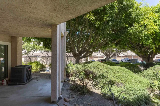 a view of a garden from a window