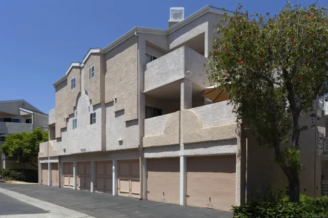 a building with a large tree