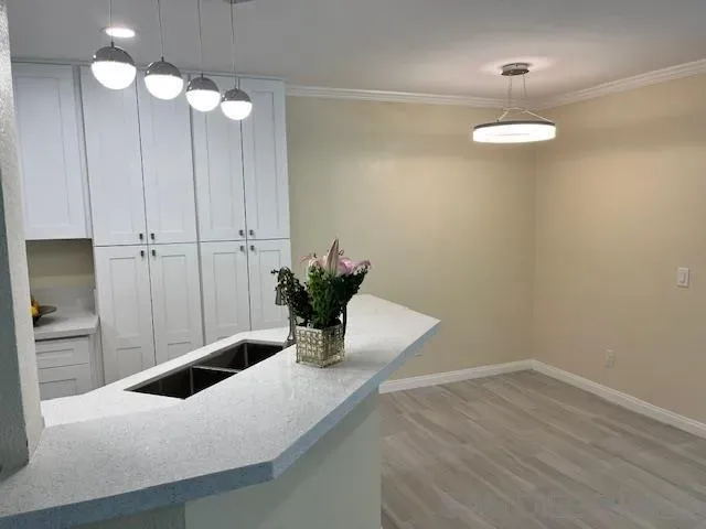 a room with a potted plant on the counter and wooden floor