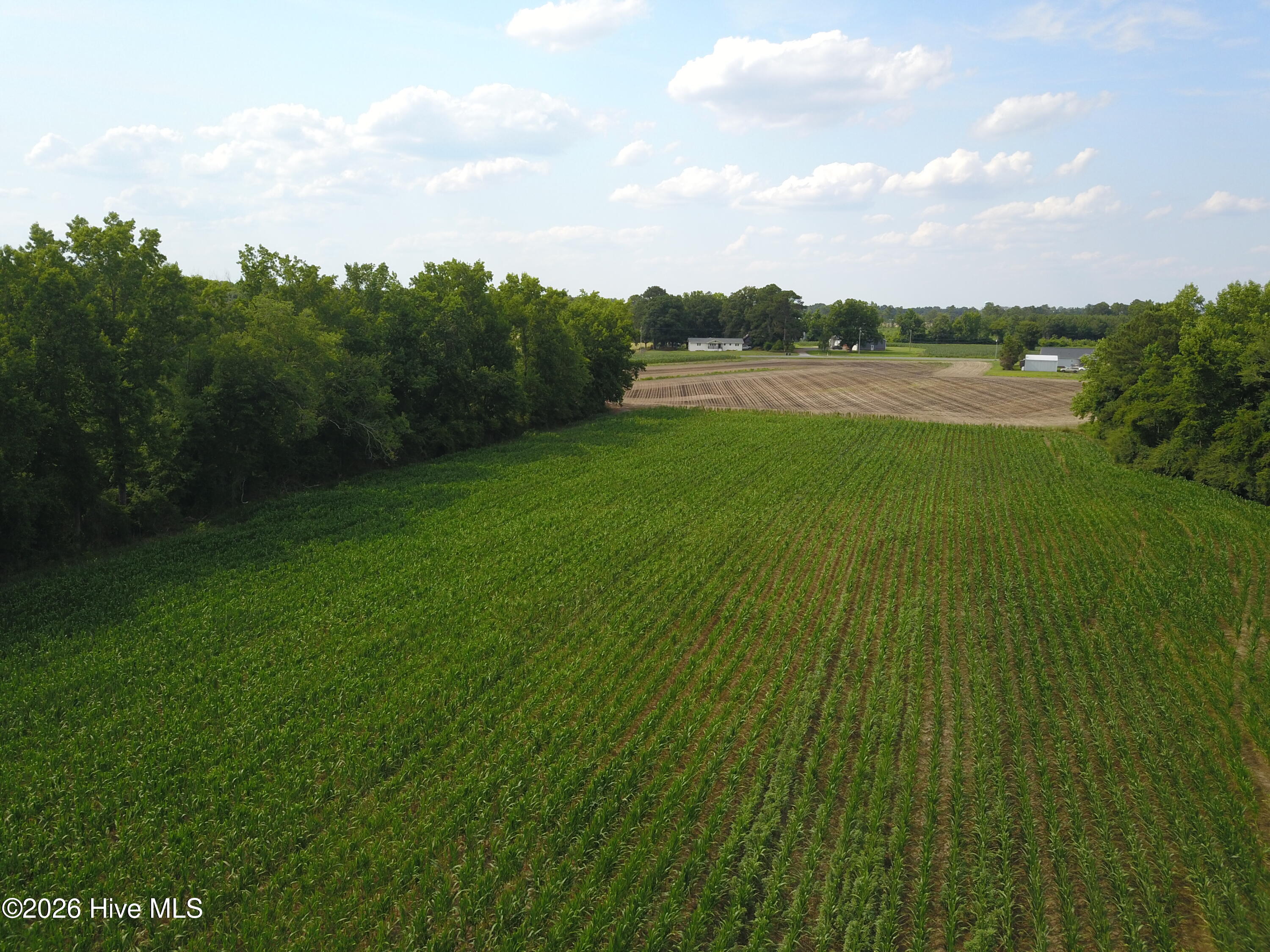 1817 Off S/ Road South Chinquapin, NC 28521 - Photo 8 of 10