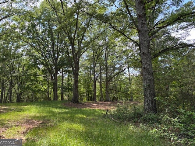 292 Double Springs Road Monroe, GA 30656 - Photo 1 of 1 a view of a lush green space