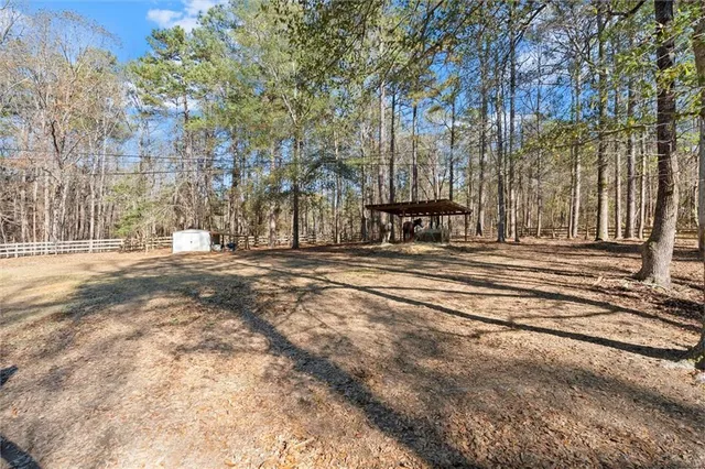a view of street with large trees