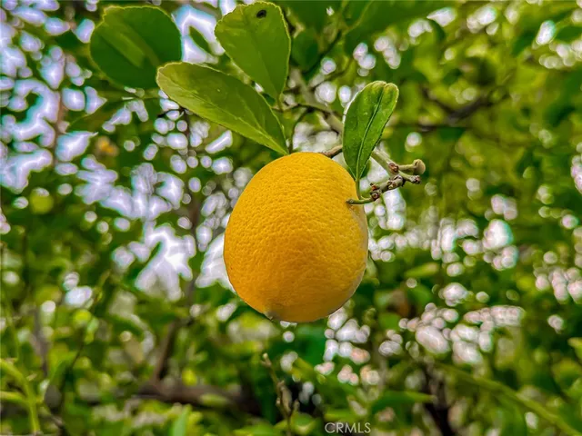 $1,599,999 | 2001 Niodrara Drive, Glendale, CA 91208