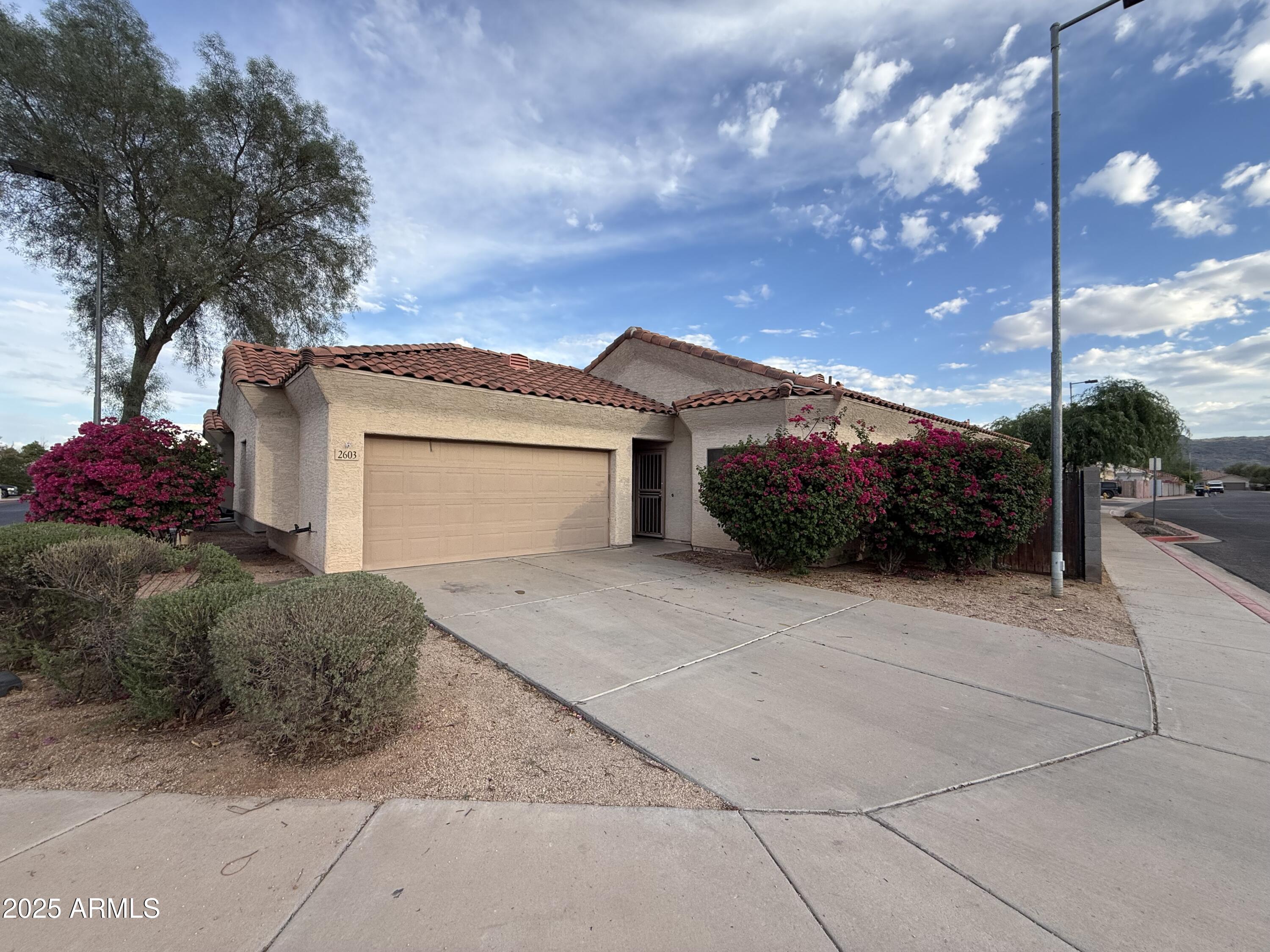 a front view of a house with plants
