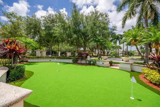 a view of a yard with palm plants