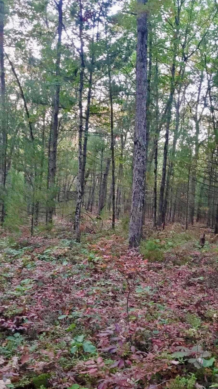 0 Old Camp Road Manistee, MI 49660 - Photo 8 of 22 Gallery Image 8