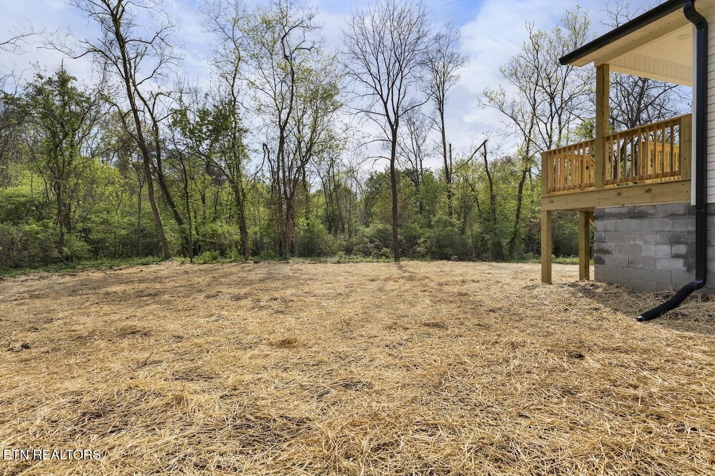 203 Stone Road Knoxville, TN 37920 - Photo 38 of 43 1S2A8059 (1)