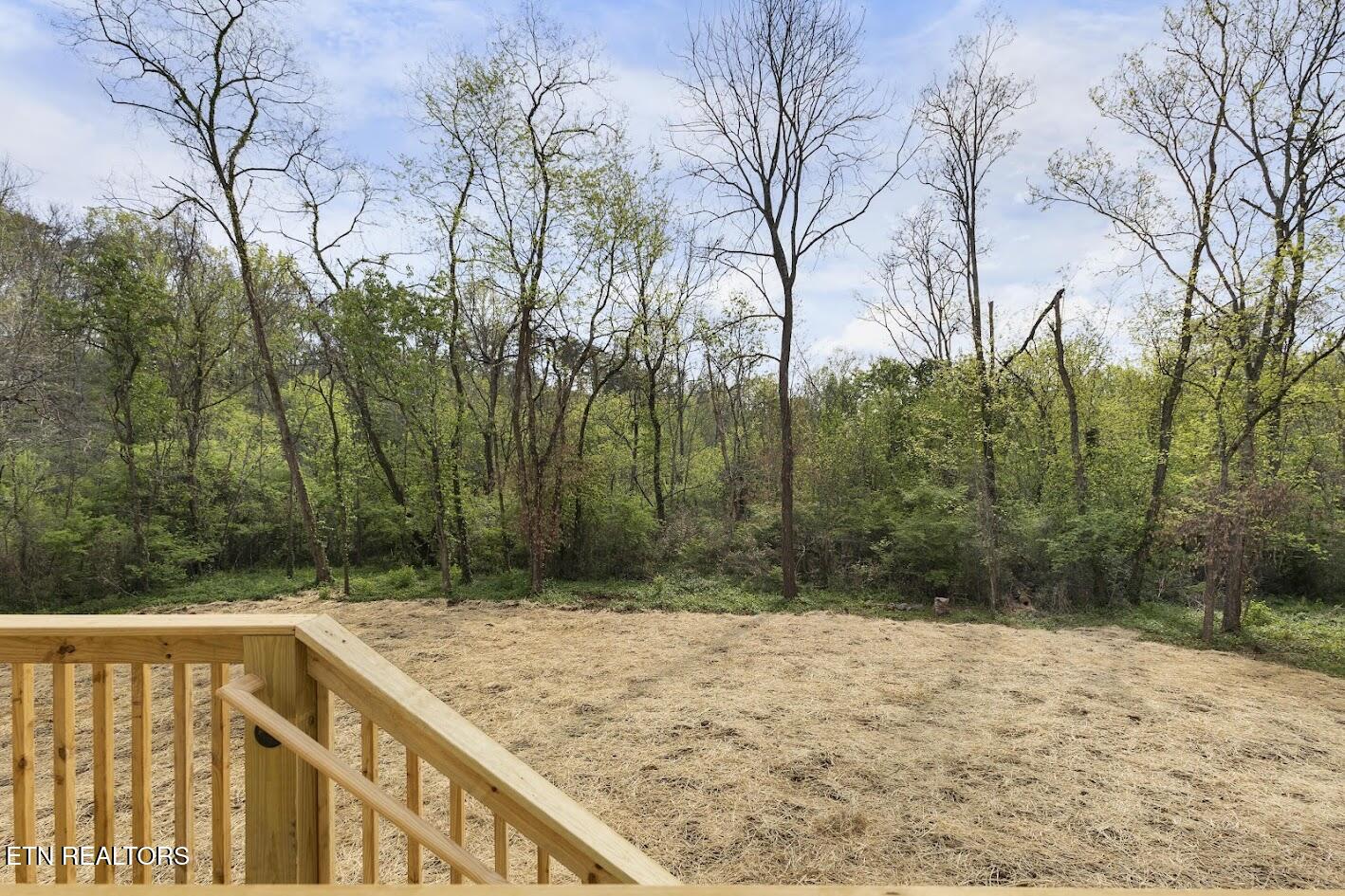 203 Stone Road Knoxville, TN 37920 - Photo 42 of 43 1S2A8083