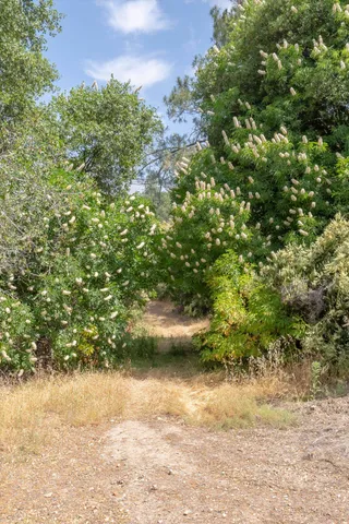 $639,000 | 5535 Parrotts Ferry Road, Vallecito, CA 95251