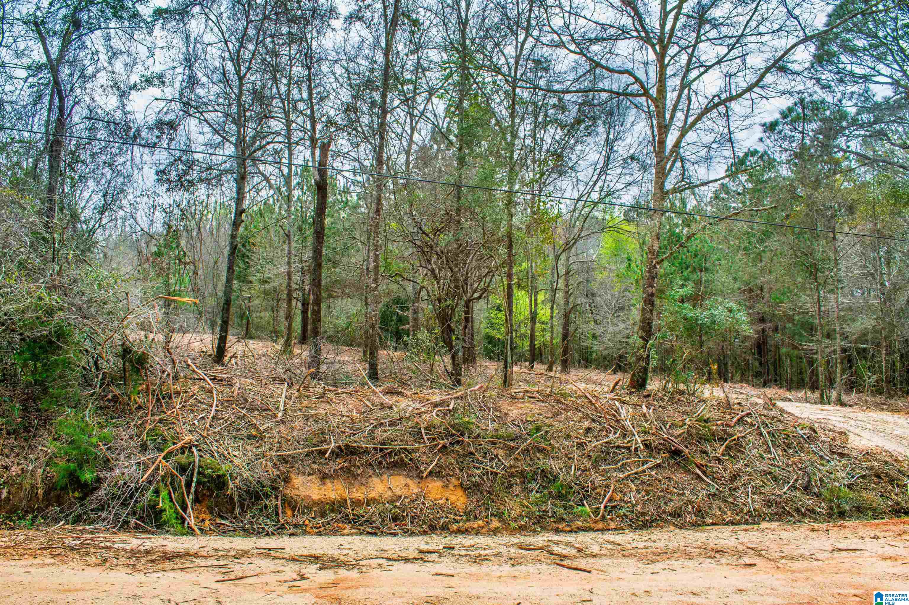 27180 Deer Run Road Opp, AL 36467 - Photo 60 of 60