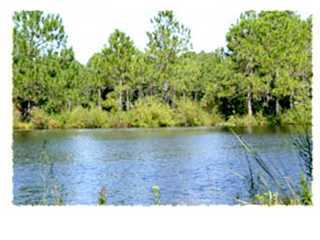 a black and white photo of a lake