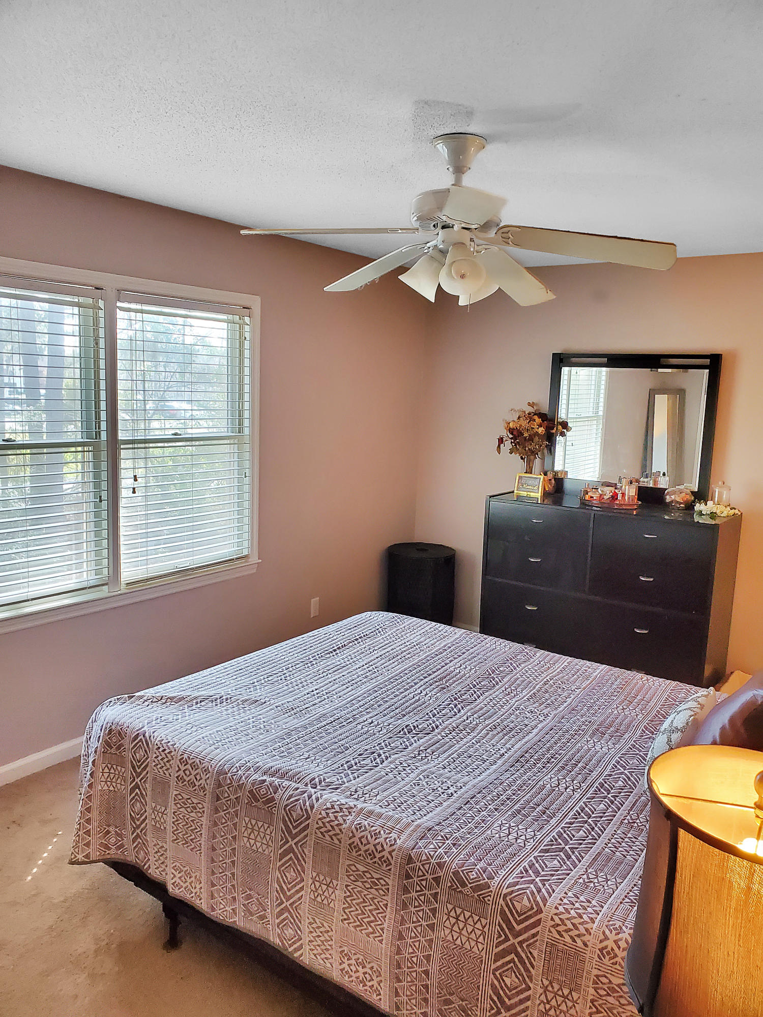 302 Springview Lane, Unit 4 Summerville, SC 29485 - Photo 13 of 17 Master bedroom