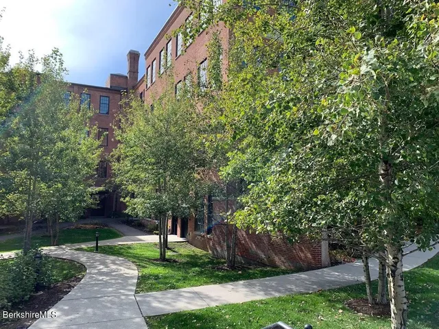 a park view with large trees