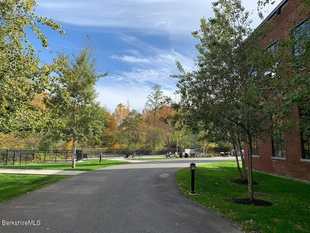 a view of a yard with a tree