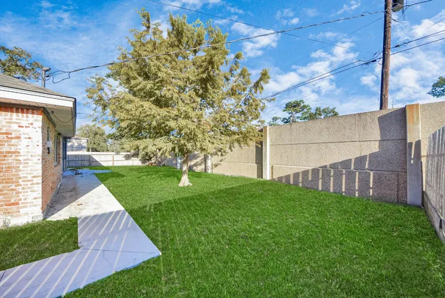 a view of a back yard