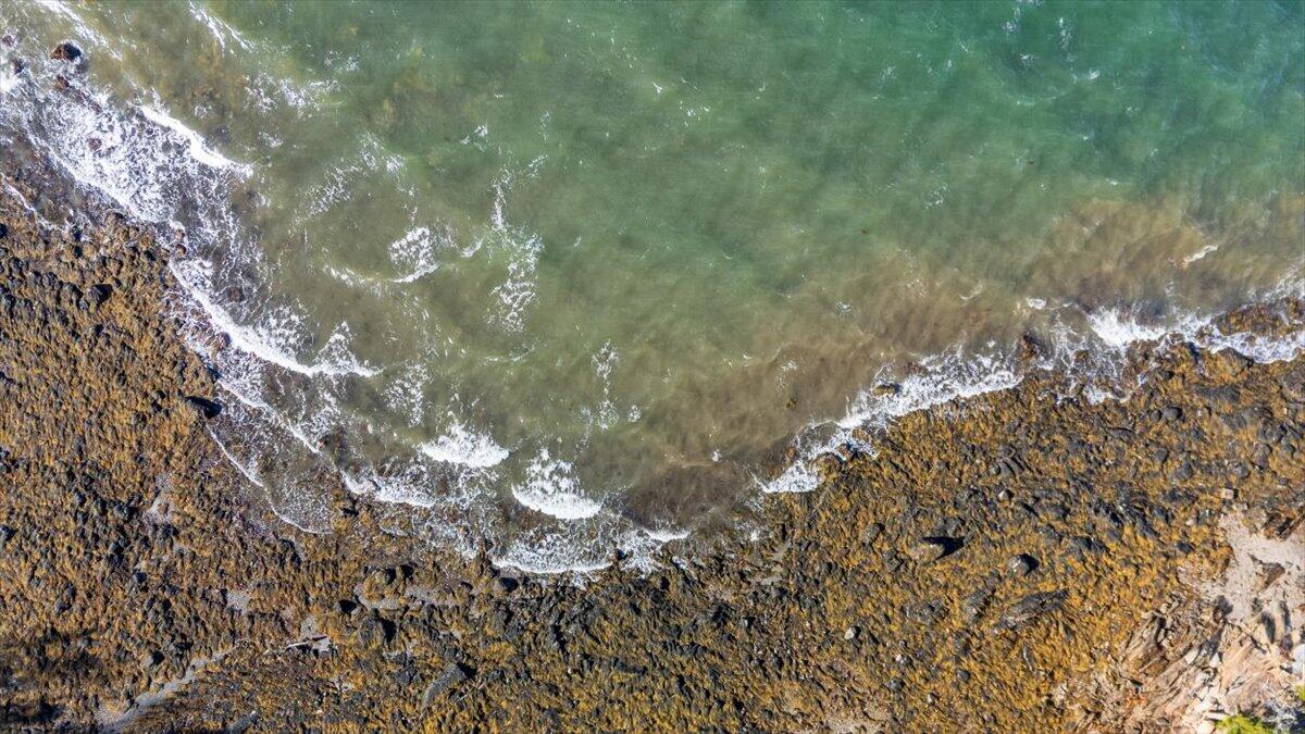 376 West Bay Road Islesboro, ME 04848 - Photo 52 of 66 61-376 W Bay Rd-61