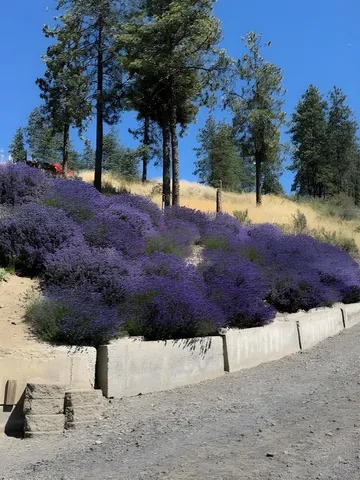 $525,000 | 42040 Lakeview Drive North, Davenport, WA 99122