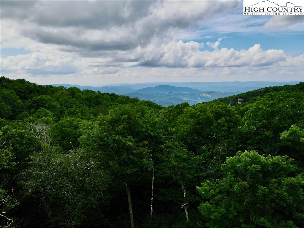 a view of a yard and an ocean