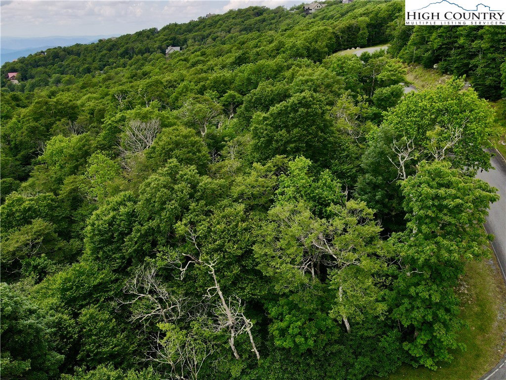 Fox Crest Road Beech Mountain, NC 28604 - Photo 12 of 21 a view of a lush green forest