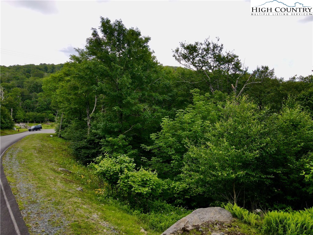 Fox Crest Road Beech Mountain, NC 28604 - Photo 15 of 21 a view of a garden with a tree