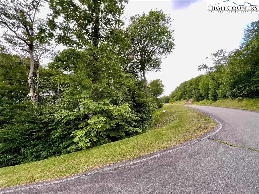 Fox Crest Road Beech Mountain, NC 28604 - Photo 16 of 21 a view of a backyard