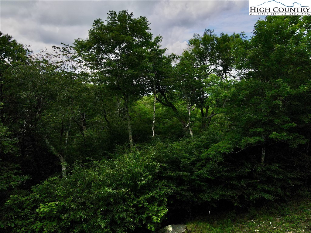 Fox Crest Road Beech Mountain, NC 28604 - Photo 17 of 21 a view of outdoor space and yard