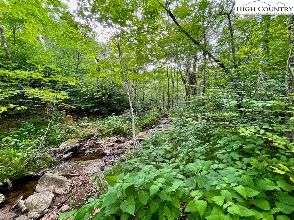 Fox Crest Road Beech Mountain, NC 28604 - Photo 18 of 21 a view of a garden
