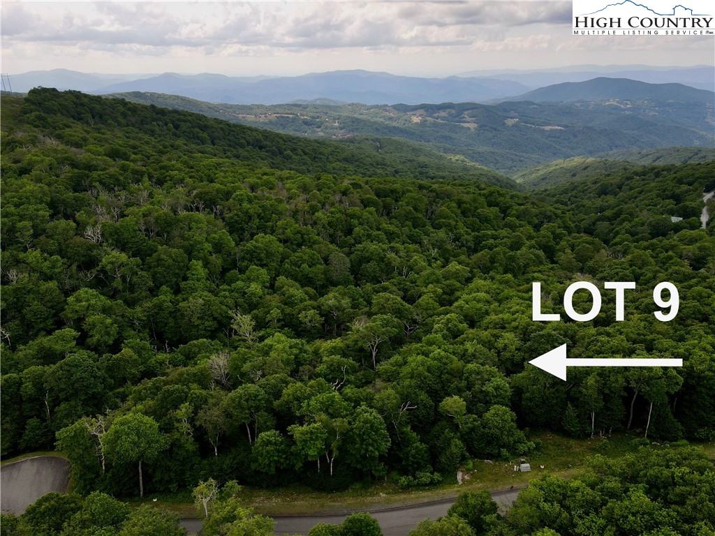 Fox Crest Road Beech Mountain, NC 28604 - Photo 2 of 21 a view of a green field with lots of bushes