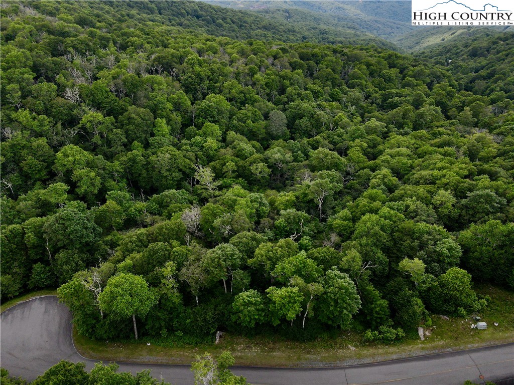 Fox Crest Road Beech Mountain, NC 28604 - Photo 3 of 21 an aerial view of a house with yard