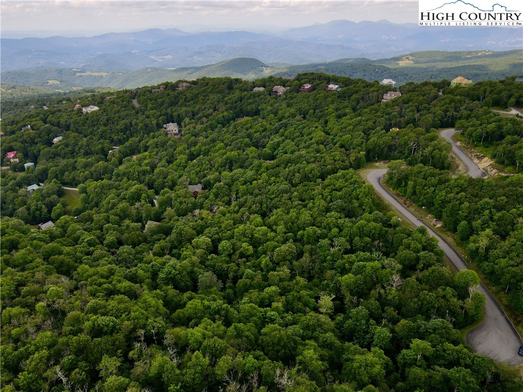 Fox Crest Road Beech Mountain, NC 28604 - Photo 4 of 21 a view of a city with lush green forest