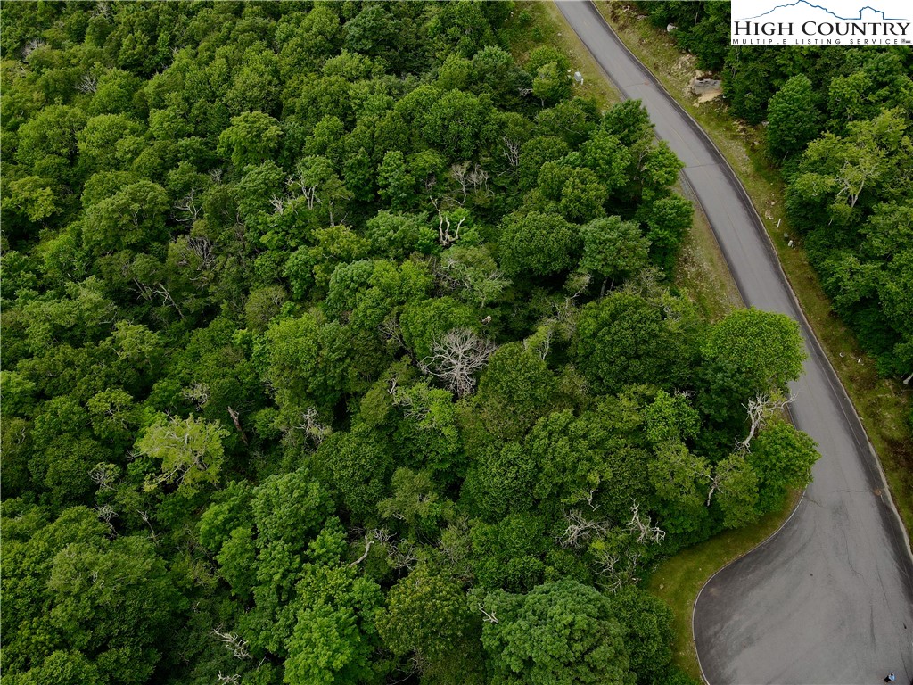 Fox Crest Road Beech Mountain, NC 28604 - Photo 5 of 21 an outdoor view of a garden with plants