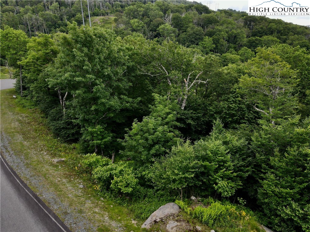 Fox Crest Road Beech Mountain, NC 28604 - Photo 7 of 21 a view of a forest with a street